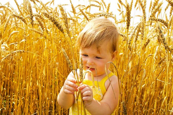 Young Child In Field