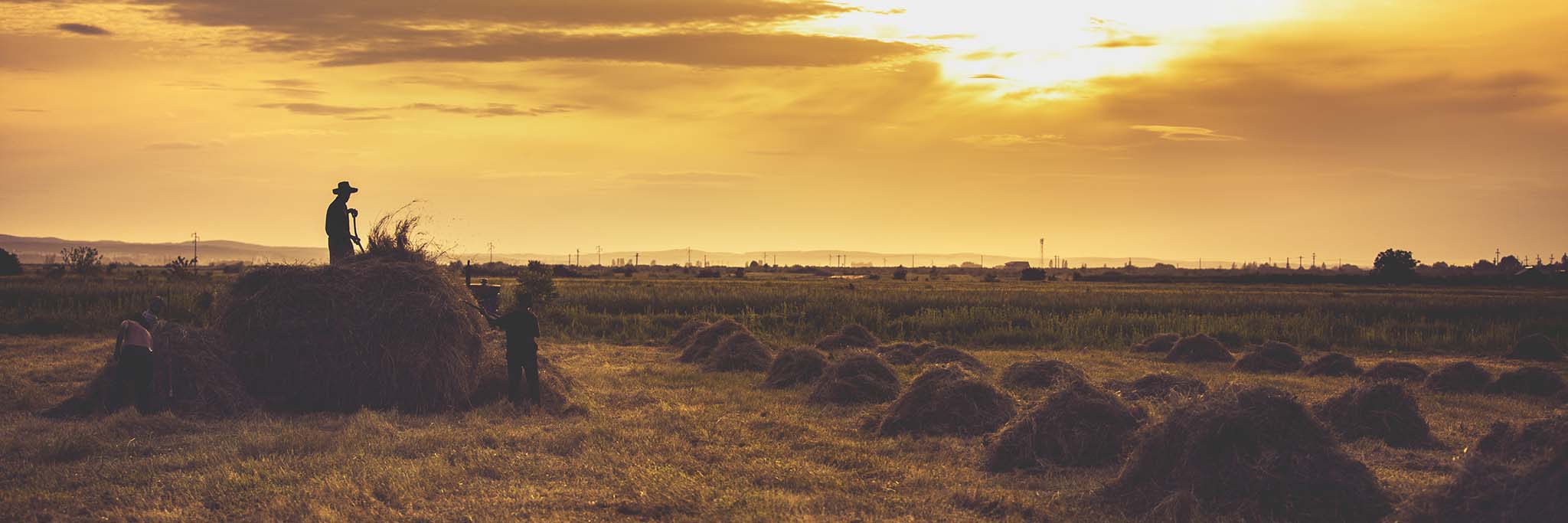 Farmer Silhouette