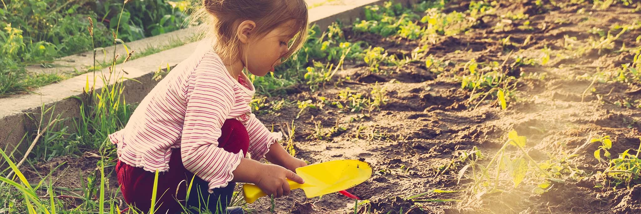 Girl Playing In Dirt - POP Foundation frequently asked questions